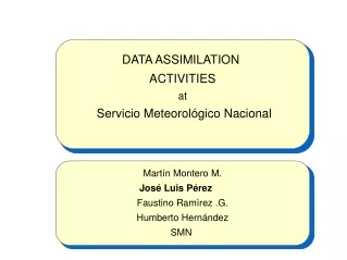 DATA ASSIMILATION  ACTIVITIES at  Servicio Meteorológico Nacional