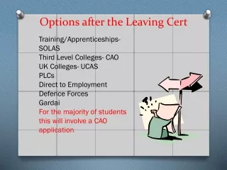 Options after the Leaving Cert