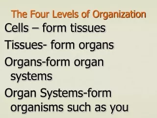 The Four Levels of Organization