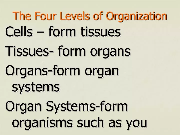 the four levels of organization