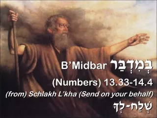 B’Midbar  בְּמִדְבַּר (Numbers) 13 .33-14.4