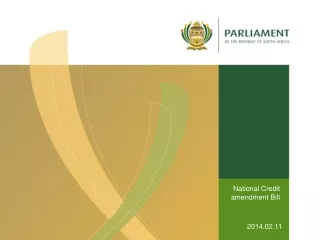 National Credit amendment Bill