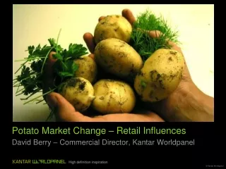 Potato Market Change – Retail Influences
