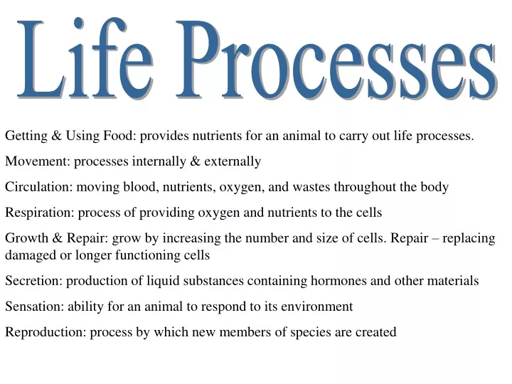 life processes