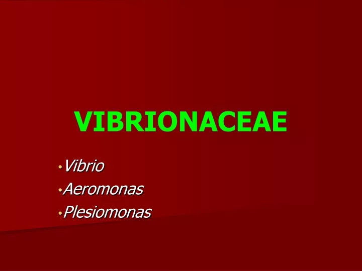 vibrionaceae