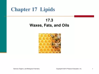 Chapter 17  Lipids