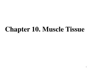 Chapter 10. Muscle Tissue