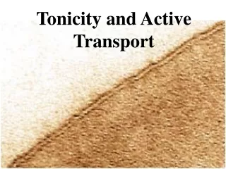 Tonicity and Active Transport