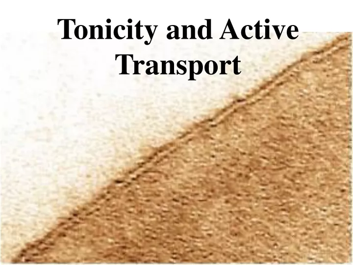 tonicity and active transport