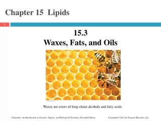 Chapter 15  Lipids
