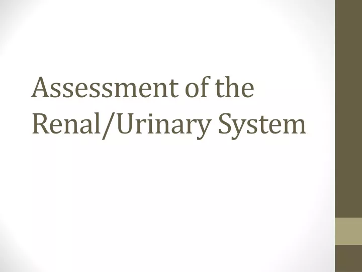 assessment of the renal urinary system