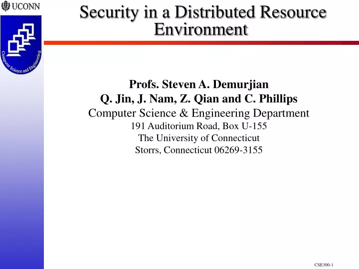 security in a distributed resource environment