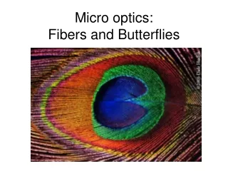 Micro optics: Fibers and Butterflies