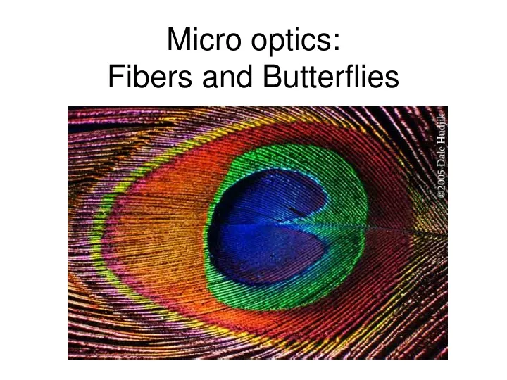 micro optics fibers and butterflies