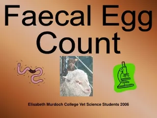 Faecal Egg