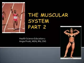 THE MUSCULAR SYSTEM PART 2