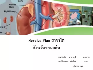 Service Plan  สาขาไต จังหวัดขอนแก่น