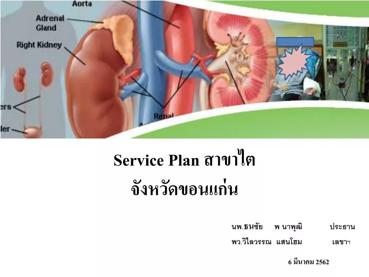 service plan