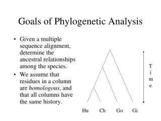 Goals of Phylogenetic Analysis