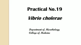 Practical No.19 Vibrio  cholerae