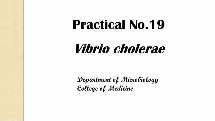 practical no 19 vibrio cholerae
