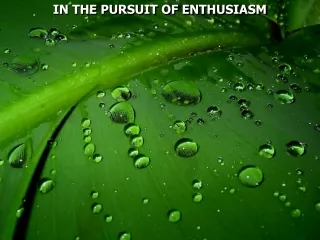 IN THE PURSUIT OF ENTHUSIASM