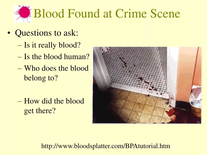 blood found at crime scene