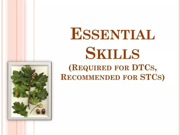 essential skills required for dtcs recommended for stcs