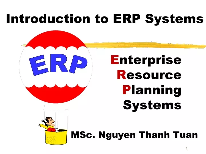 introduction to erp systems