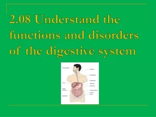 2.08 Understand the functions and disorders of the digestive system