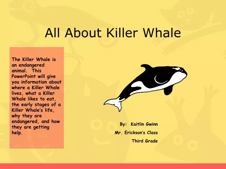 all about killer whale