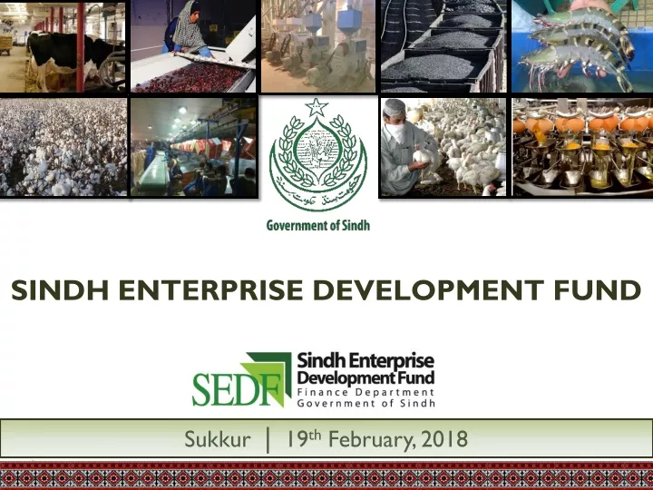 sindh enterprise development fund