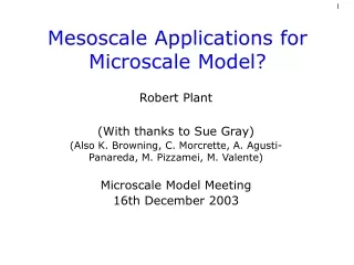 Mesoscale Applications for Microscale Model?