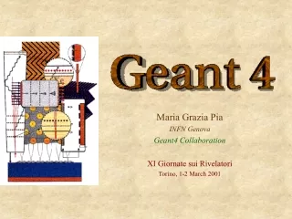Maria Grazia Pia INFN Genova Geant4 Collaboration  X I  Giornate sui Rivelatori