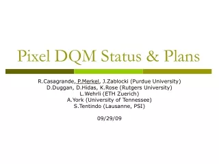 Pixel DQM Status &amp; Plans