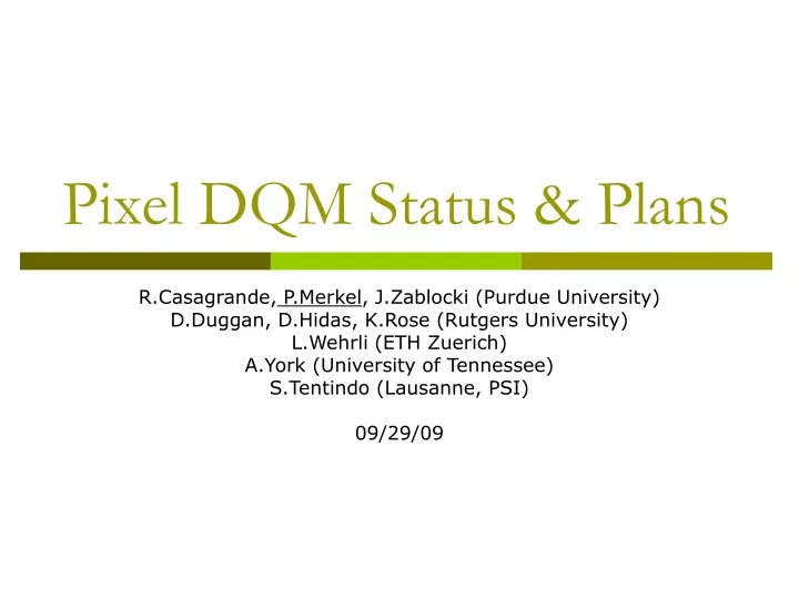 pixel dqm status plans
