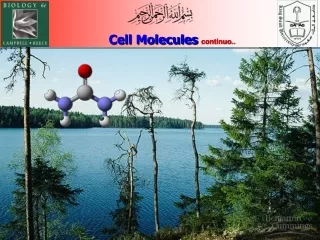 Cell Molecules  continuo..