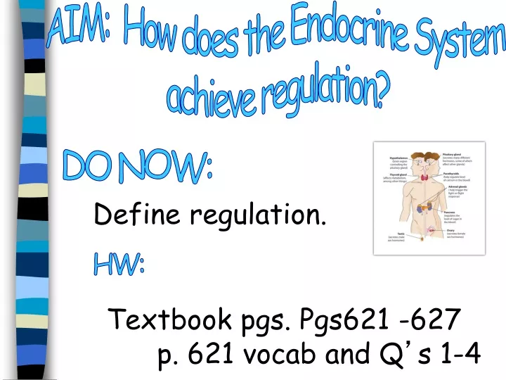 aim how does the endocrine system achieve