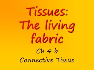 Tissues:  The living fabric