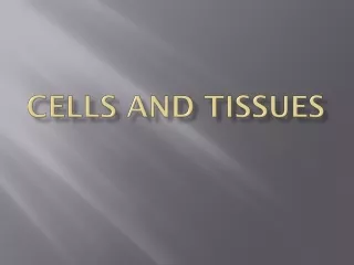 Cells and tissues