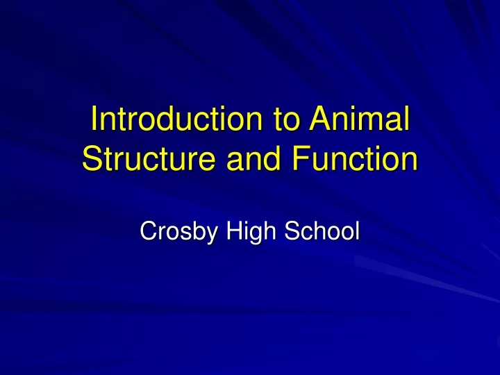 introduction to animal structure and function
