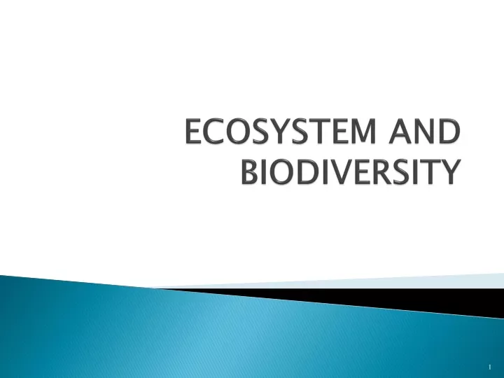 ecosystem and biodiversity