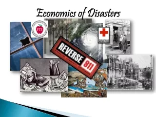 Economics of Disasters