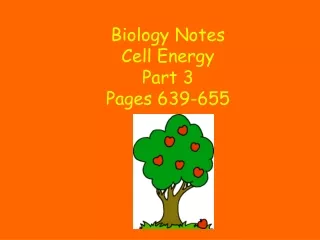 Biology Notes Cell Energy Part 3 Pages 639-655