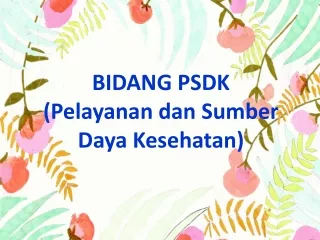 BIDANG PSDK  ( Pelayanan dan Sumber Daya Kesehatan)