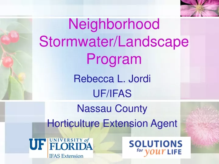 neighborhood stormwater landscape program