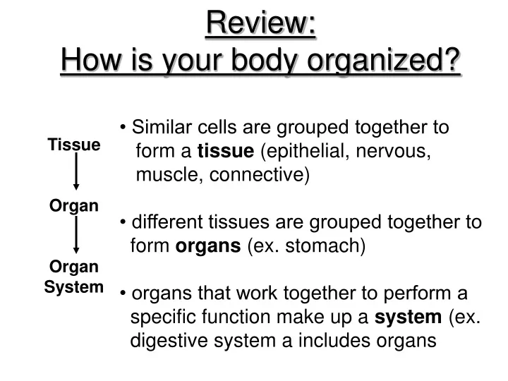review how is your body organized similar cells