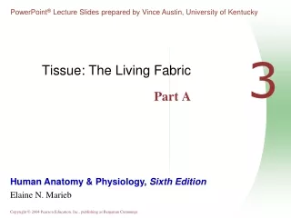 Tissue: The Living Fabric Part A