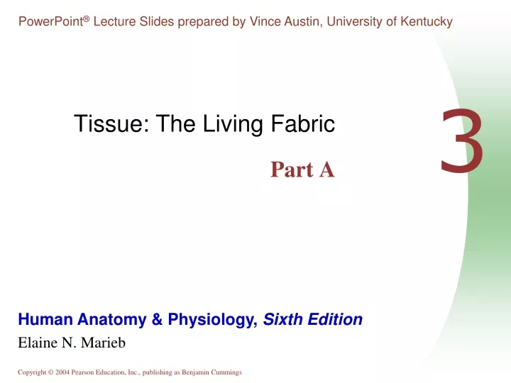tissue the living fabric part a
