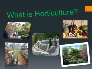 What is Horticulture?